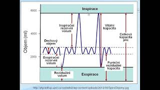 Spirometrie [upl. by Alfie]