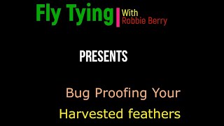 Bug proofing Harvested Feathers for Fly Tying [upl. by Louanne]