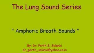 Amphoric Breath Sounds [upl. by Habeh]