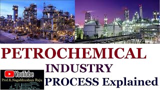 Petrochemical Industry  Process Overview  Detailed Explanation [upl. by Norraj163]