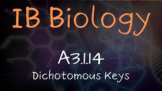 Dichotomous Keys  A3114 [upl. by Wilcox593]