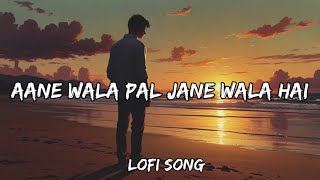 Aane Wala Pal Jane Wala Hai Hindi Lofi  Instagram Trending Song Motivational Hindi Song DesiLofi [upl. by Drawde]