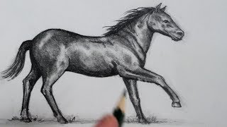 How to Draw a Horse Step by Step [upl. by Joye501]