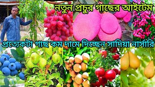 নতুন প্রচুর গাছের আইটেম প্রত্যেকটা গাছ কম দামে দিচ্ছেন সাদিয়া নার্সারি  Best Fruit Plant Nursery [upl. by Eedna482]