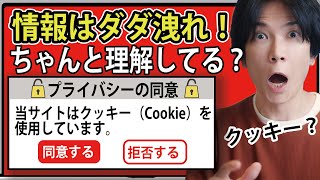 【理解してる？】クッキーCookieへの同意って何？【情報を守れ】 [upl. by Ydolem]