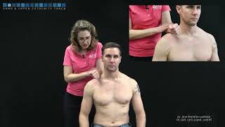 Shoulder Subcoracoid impingement test [upl. by Danczyk]