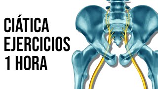 9 EJERCICIOS para aliviar la CIATICA sin importar su origen fisioterapiatualcance [upl. by Caylor]