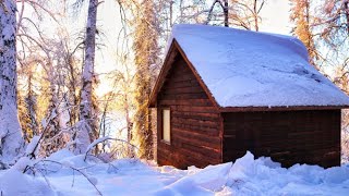 Off Grid Cabin in the Alaskan Wilderness [upl. by Rosati699]