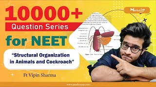 10000 Questions Series for NEET  Structural Organization in Animal  NCERT Based Question Practice [upl. by Towill]