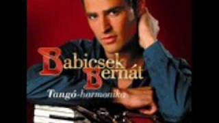 Babicsek Bernát  Tangó harmonika [upl. by Tolman782]