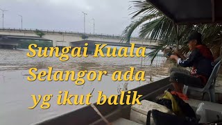 21 Jeti Cikgu Ayobhasil lbh byk dr sblm ni mancing udanggalah sungai kualaselangor strike [upl. by Armalda]