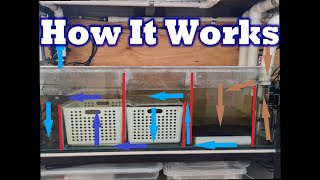 Freshwater Sump Filter Setup [upl. by Natty]