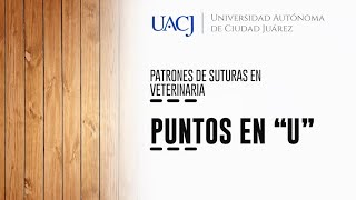 Patrones de sutura en veterinaria Puntos en quotUquot [upl. by Yenor]