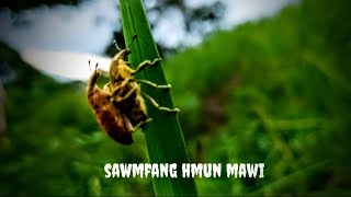 sawmfang hmun mawi [upl. by Blackington663]