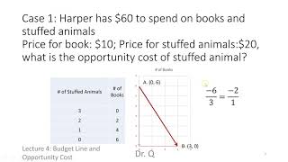 4 Budget Line and Opportunity Cost [upl. by Apurk]