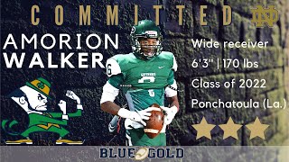 Surprise WR Amorion Walker Commits To Notre Dame Football [upl. by Parish]