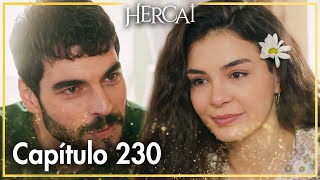 Hercai  Capítulo 230 [upl. by Ahsekad]