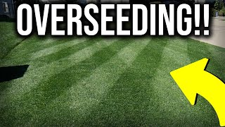 Spring Overseeding Steps in 1 MINUTE [upl. by Onairpic]