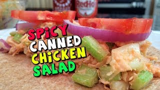 Healthy Spicy Canned Chicken Salad Recipe [upl. by Standush]