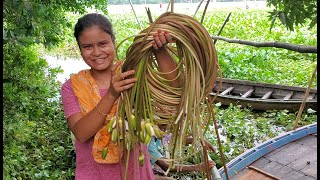 আজকে আমি আর বাবা নতুন জল হওয়ার পর প্রথম দিন শাপলা তুলতে গেলাম। Village Vloger Nopur [upl. by Romney]