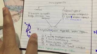 pro kinetic agent metaclopramide and domperidone mechanism of action pharmacology [upl. by Zanlog]