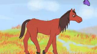 Animation The Birth Life and Death of a Horse [upl. by Nytsirk517]