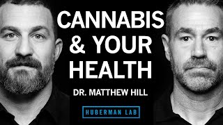 Dr Matthew Hill How Cannabis Impacts Health amp the Potential Risks [upl. by Ailerua95]