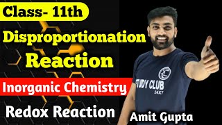 Disproportionation Reaction  Redox Reaction  Class 11  Chapter 8  Chemistry  Amit Gupta [upl. by Cory]