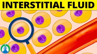 Interstitial Fluid Medical Definition  Quick Explainer Video [upl. by Ytsirt]