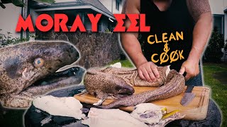 MASSIVE MORAY EEL  How to Clean and Cook  Spearfishing Hawaii [upl. by Pellikka]