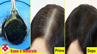 Ricetta Colorante Capelli Naturale  Trasformare I Capelli Bianchi In Nero Naturalmente In 30 Minuti [upl. by Westbrooke503]