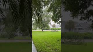 Clearwater Florida tropical storm update [upl. by Aniehs]