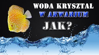 Jak utrzymać krystalicznie czystą wodę w akwarium  💧 [upl. by Annej]