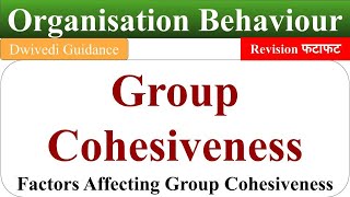 group cohesiveness group cohesiveness in organisational behaviour organisational behaviour OB [upl. by Swope]