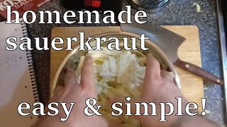 How to make Sauerkraut at home  Easy amp Simple Recipe [upl. by Eittap260]