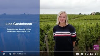 Viticulture de précision au Château Calon Ségur [upl. by Maggi]