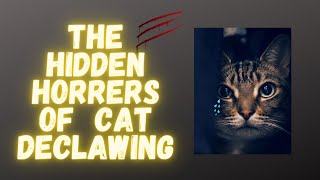 The Hidden Horrors of Cat Declawing [upl. by Gratt675]