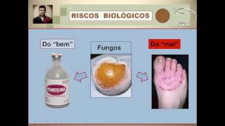 Videoaula 26 Riscos Biológicos  Parte 1 – Introdução [upl. by Bonny887]