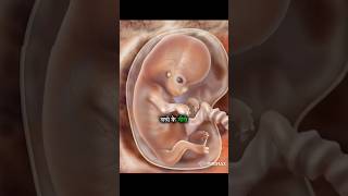 जल्द ही होगी normal delivery अगर ये संकेत दिख रहे हैं तो😨shorts amazingfacts pregnency baby [upl. by Anelhtac]