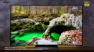 KD65SD8505 Sony téléviseur 4k incurvé pour plus dimmersion [upl. by Seadon]