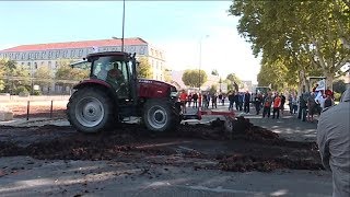 Manifestation des agriculteurs à Avignon [upl. by Eddy]