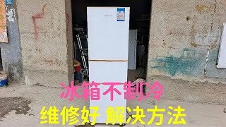 冰箱不制冷，温度控制器有问题，维修好，解决方法数码家电电器 [upl. by Harsho]