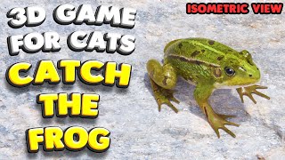 3D game for cats  CATCH THE FROG isometric view  4K 60 fps stereo sound [upl. by Sirovat]