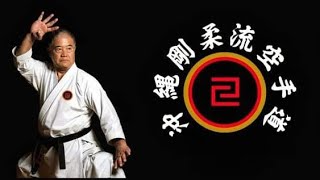 TOGKF traditional Okinawa goju Ryu Karate Federation Higaonna Sensei [upl. by Ravens]