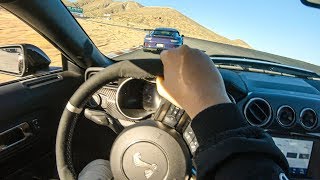 2020 SHELBY GT500 DOMINATES PORSCHE 911 GT3RS AND ZL1 1LE ON THE RACETRACK [upl. by Ilohcin]