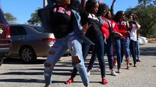 Delta Sigma Theta  Kappu Mu 1 Year Deltaversary SamHoustonState [upl. by Trip]