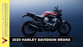 2020 Harley Davidson Bronx  First Look  Review [upl. by Lauri]