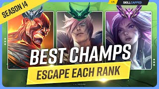 The 5 BEST CHAMPIONS to Climb for EVERY RANK  League of Legends  Season 14 [upl. by Esilanna]