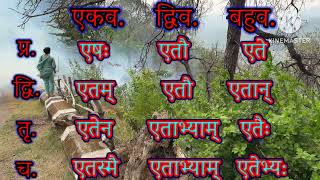 एतत् यह शब्द रूप दकारान्त पुल्लिंग etat yeh sabd roop dakarant purling highlevellanguage [upl. by Ahsenad]