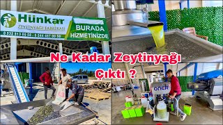 243 Kilo Zeytinden Bakın Kaç Kilo Zeytinyağı Çıktı  Osmaniye Sumbas [upl. by Airdua853]